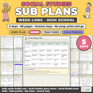 High School Social Studies Sub Plans, Week Long Emergency Sub Plans, No Prep, 5 Days, 68 Pages